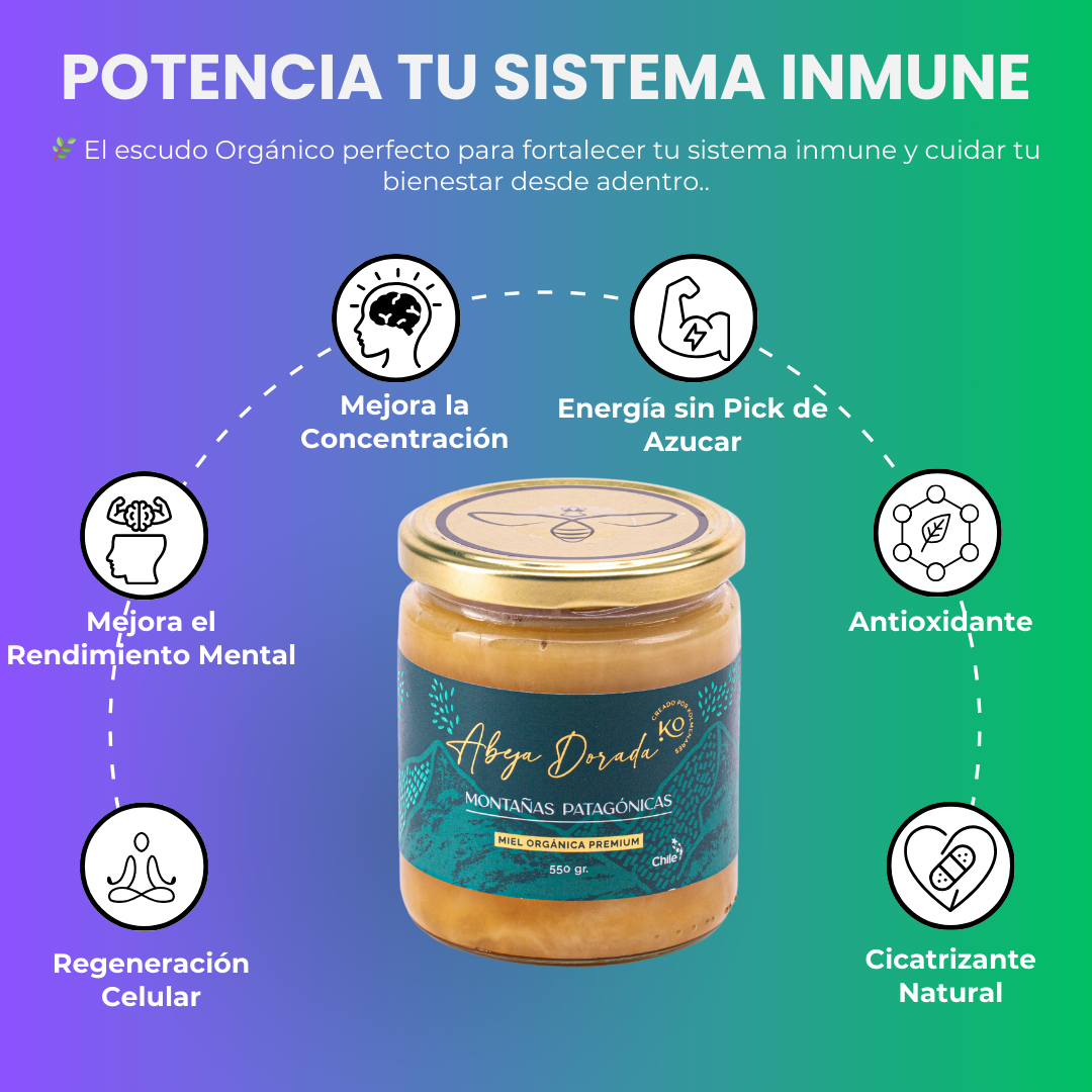 Miel Orgánica Montañas Patagónicas 💛 ENERGÍA Y CONCENTRACIÓN
