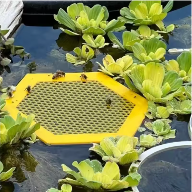 BEBEDERO DE 🐝💛 Jardín &amp; Terraza